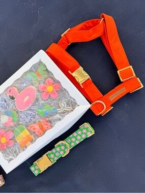 FOR MARIJOSE The Foggy Dog Orange Dog Harness with Gold Hardware DO NOT PURCHASE
